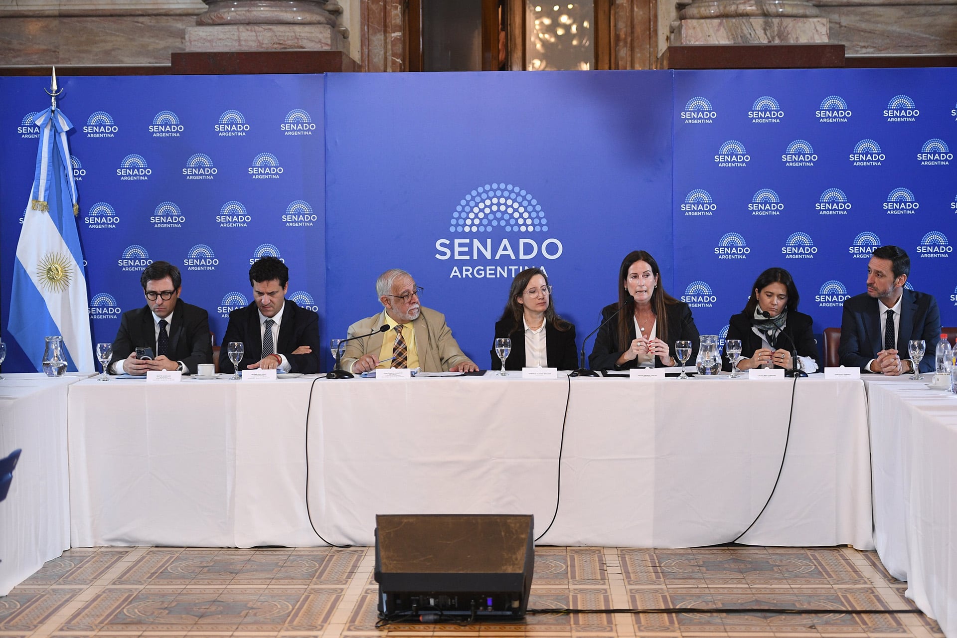 Seis panelistas, incluidos cuatro hombres y dos mujeres, participan en una mesa redonda en el Senado argentino, con una bandera nacional visible al lado izquierdo. (Juan Carlos Cardenas / Comunicación Senado)