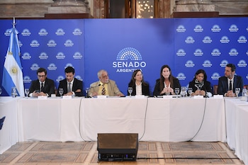 Seis personas sentadas en una larga mesa blanca con micrófonos y vasos, frente a un panel azul con el logo del "Senado Argentina" y una bandera argentina