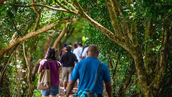Costa Rica refuerza en Europa su estrategia para el turismo de reuniones con foco en España, Alemania y Reino Unido