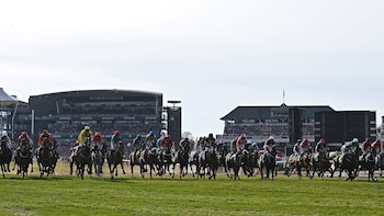 Los pasos para jugar Lototurf