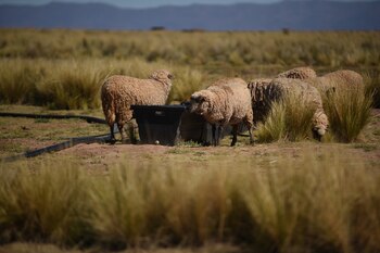 Aquellas personas interesadas deberán de