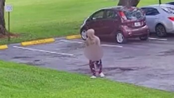 Una figura humana borrosa se encuentra de pie en un estacionamiento junto a un coche hatchback rojo oscuro, con un coche gris y césped al fondo