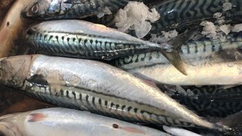 Ministerio de la Producción levanta