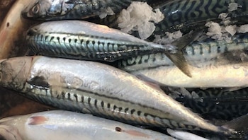 El Ministerio de la Producción