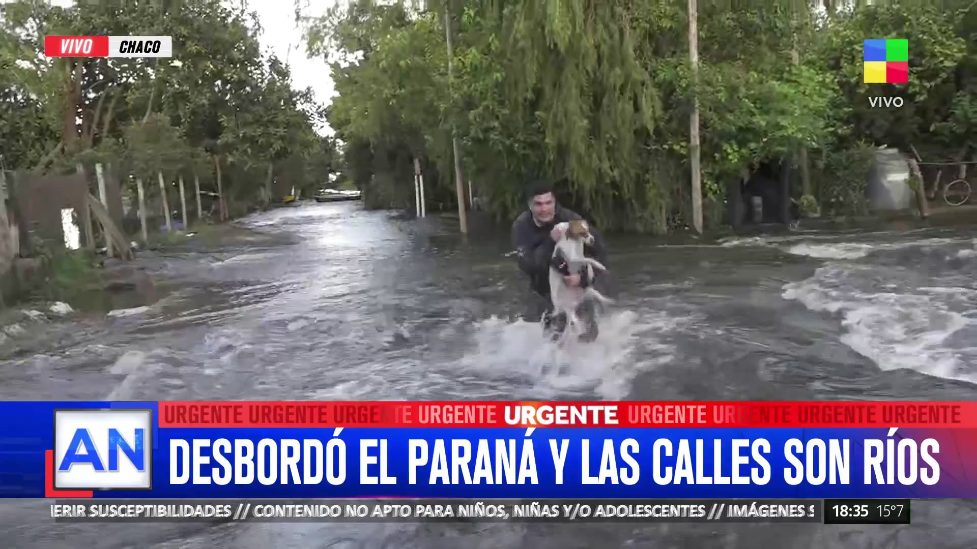 El periodista cayó al agua mientras rescataba al animal