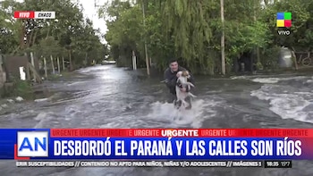 alejandro pueblas américa noticias