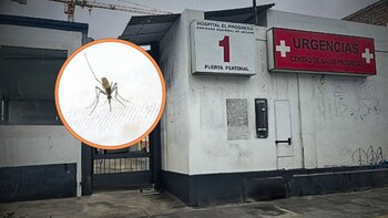Confirman caso de malaria en