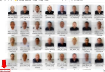 Los datos filtrados también incluyen