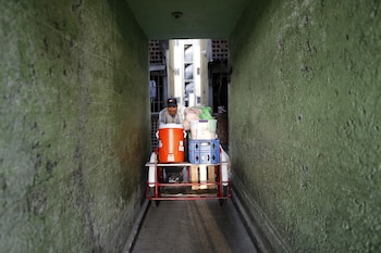 Los especialistas insistieron en que