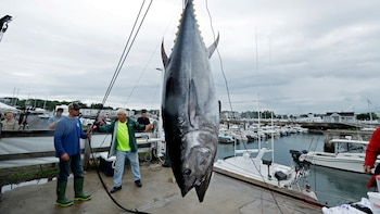 Panamá se alinea con reglas
