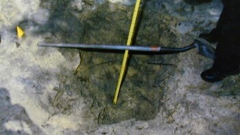 La tumba que cavaron los