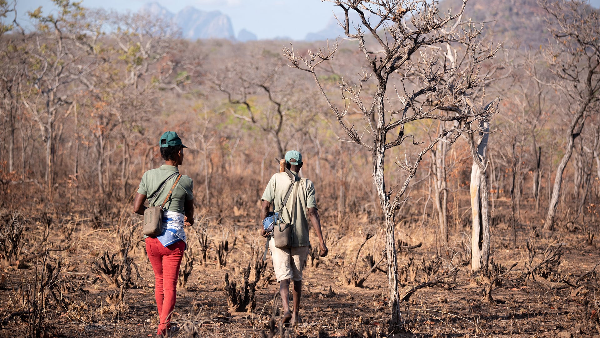 Fatima Balasani y Seliano Rucunua, cazadores Yao, llaman al indicador grande para cooperar en la Reserva Especial do Niassa, Mozambique (Claire Spottiswoode)