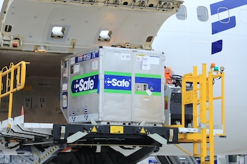 Un contenedor de carga metálico con logotipos Safe se posiciona en la puerta abierta de un avión, sobre una plataforma elevadora amarilla