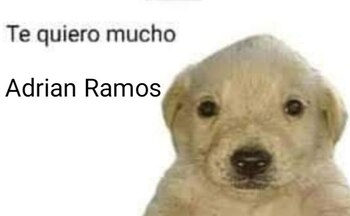 Los mejores memes de la victoria del América de Cali ante el DIM por los cuadrangulares de la Liga BetPlay.