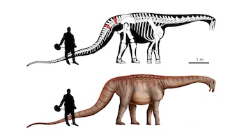 Dinosaurio Protector de Uruguay