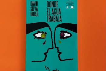 David Silva Rojas