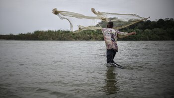 Qué pasó con los tres