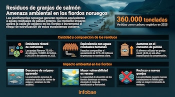 Infografía horizontal sobre la contaminación de granjas de salmón en fiordos noruegos, mostrando pens de cultivo emitiendo desechos y datos sobre nutrientes, aguas residuales y descenso de oxígeno.