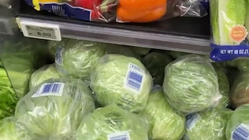 Detección del parásito Cyclospora en lechugas provenientes de México fue un “falso positivo”, aclara la FDA