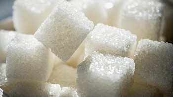 Los científicos encuentran clave para