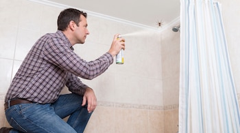 Hombre arrodillado rocía un aerosol insecticida a una araña en el techo de un baño con azulejos y cortina de ducha de rayas.