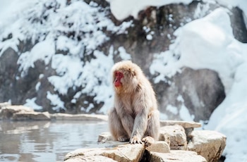 El vínculo entre acciones cotidianas