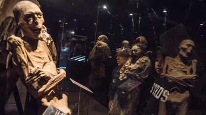 INAH y la Secretaría de Cultura acusan al Museo de las Momias de Guanajuato de modificar exhibiciones sin consulta previa 