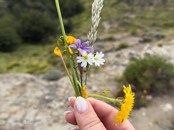 La comediante frenó a recoger