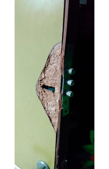 Los ladrones forzaron las puertas