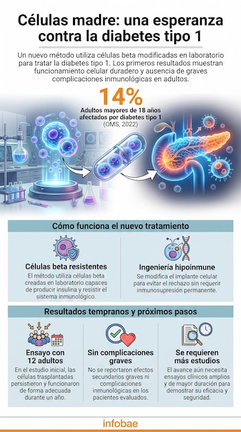 Una infografía muestra un laboratorio, células, un páncreas humano y texto sobre tratamiento de diabetes tipo 1, células beta resistentes e ingeniería hipoinmune.