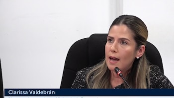 Un régimen actualizado detalla garantías para quienes participen en proyectos conjuntos, definiendo los mecanismos de supervisión y las condiciones para la recepción de activos por parte del Estado tras cada contrato. La directora de Inversiones del Ministerio de Economía sostiene beneficios en la nueva normativa. (Captura de pantalla de la transmisión en directo de la comisión)