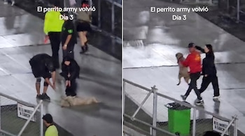Dos fotografías comparativas que muestran a varias personas rodeando a un perro y a un hombre caminando junto al animal.