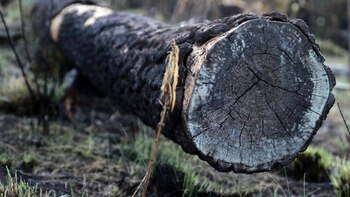 Congreso de la CDMX aprueba