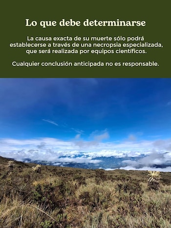 Las autoridades ambientales anunciaron análisis