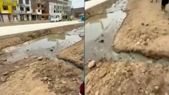 Vecinos de SMP denuncian que obras del Metropolitano rompieron tuberías y aguas residuales inundan sus viviendas