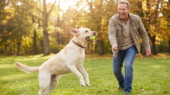 Ni muy grandes ni muy inquietos: Estas son las razas de perros más amigables y tranquilas