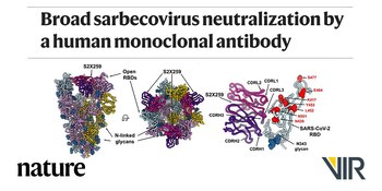 El trabajo del Tortorici con