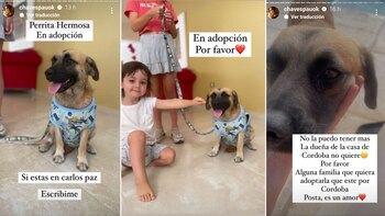 Las publicaciones de Paula pidiendo