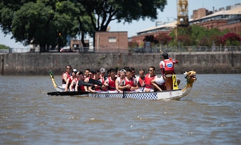 Los botes dragón son canoas para 10 a 20 remeros o palistas. El mascarón de proa es la cabeza de dragón y la terminación de popa, la cola de ese animal mitológico