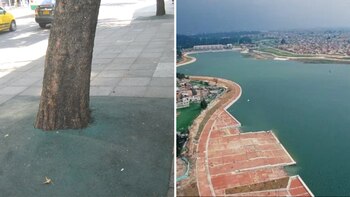 La intervención del humedal Tibabuyes,