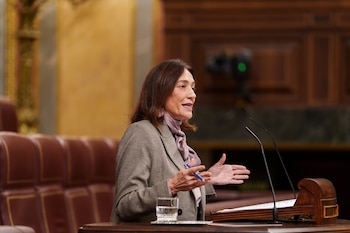 La diputada del PSOE Obdulia Taboadela Álvarez