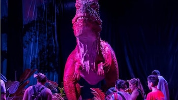 Cómo es y dónde está