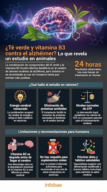 Ilustración de cerebro con ondas, hojas de té verde, fórmula química de nicotinamida, texto informativo sobre estudio científico y logo Infobae.