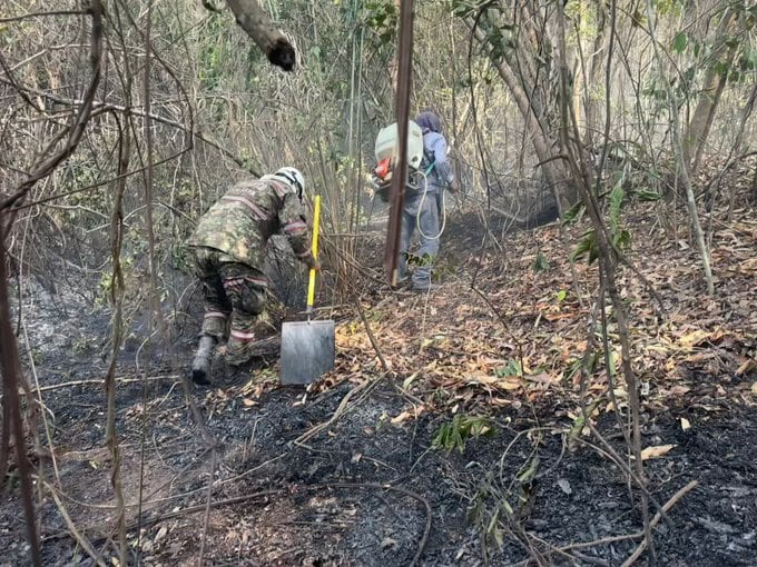 El Ejército Nacional se sumó a las labores de control del incendio foresta en El Guamo, Tolima - crédito @Ejercito_Div5/X