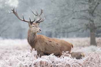 Los cambios en la conducta