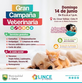 Un cartel informativo de la "Gran Campaña Veterinaria" en Lince, Perú. Muestra un perro y un gato durmiendo juntos en la parte inferior, con detalles del evento