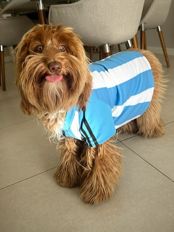 Miel se sumó al fanatismo