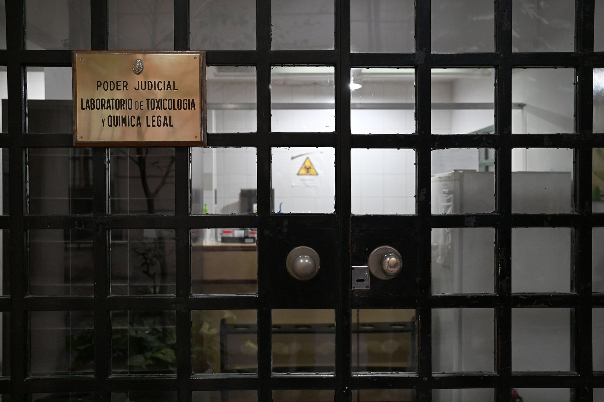 El ingreso al laboratorio de toxicología