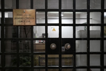 El ingreso al laboratorio de toxicología