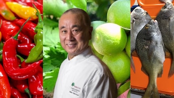 La estadía de Nobu en